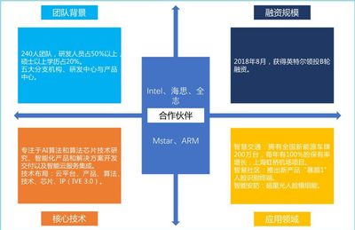 物联网全景动态图谱2.0 我说安防，你说AI——盘点国内主要计算机视觉算法初创公司