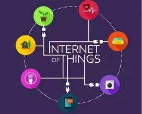 全球物联网市场蓬勃发展，中国引领创新与实践浪潮