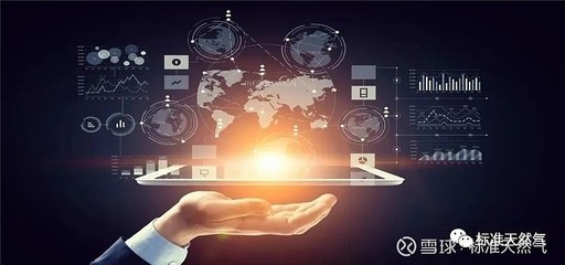 从气体到固态 新加坡技术创新与中国天然气发展新图景